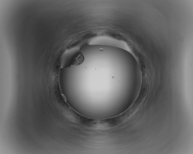 X0000110950601200906191252