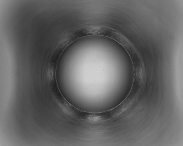 X0000110950602200906191252