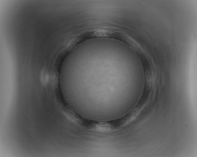X0000110950603200906191252