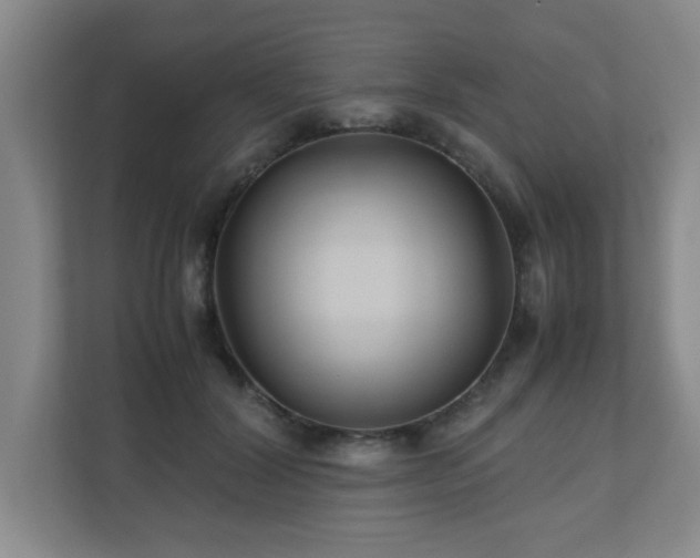 X0000110950604200906191252