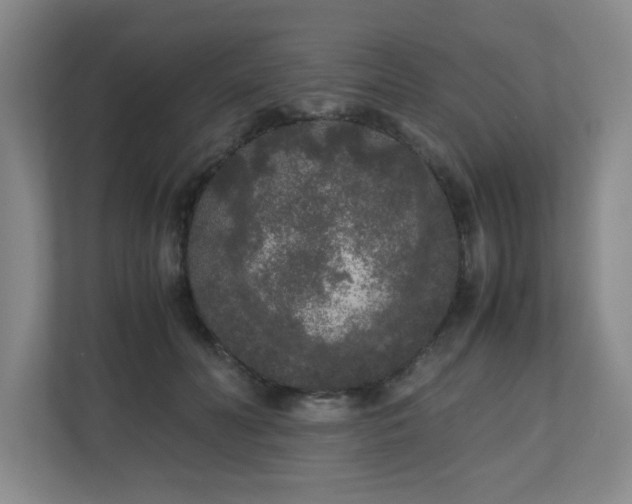 X0000110950606200906191252