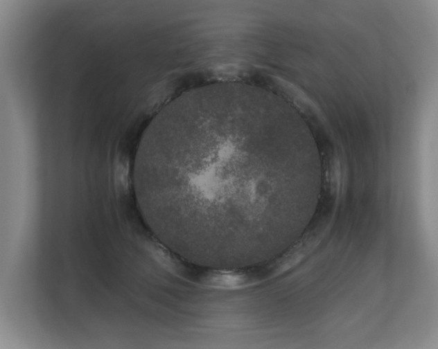 X0000110950610200906191252