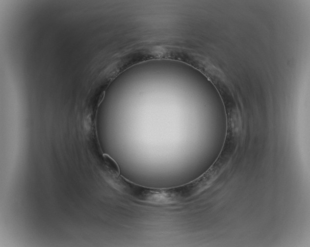 X0000110950611200906191252