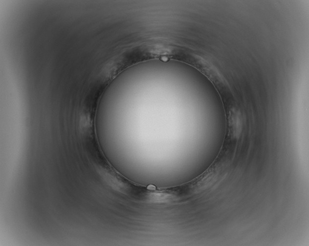 X0000110950614200906191252
