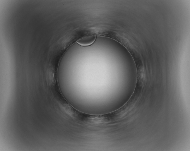X0000110950615200906191252