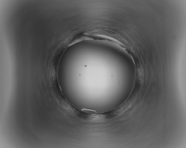 X0000110950617200906191252