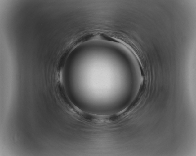 X0000110950621200906191252