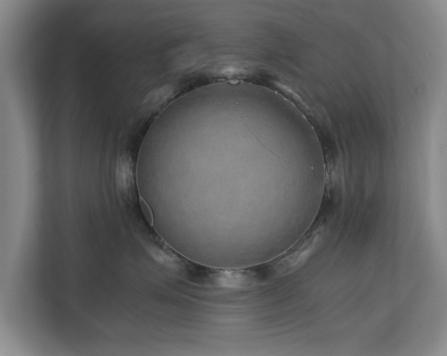 X0000110950623200906191252