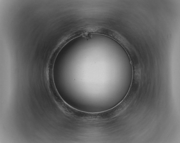 X0000110950626200906191251