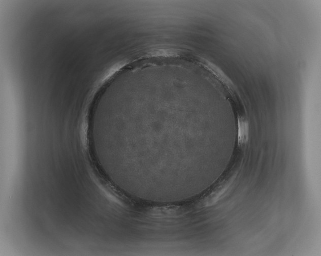 X0000110950627200906191251