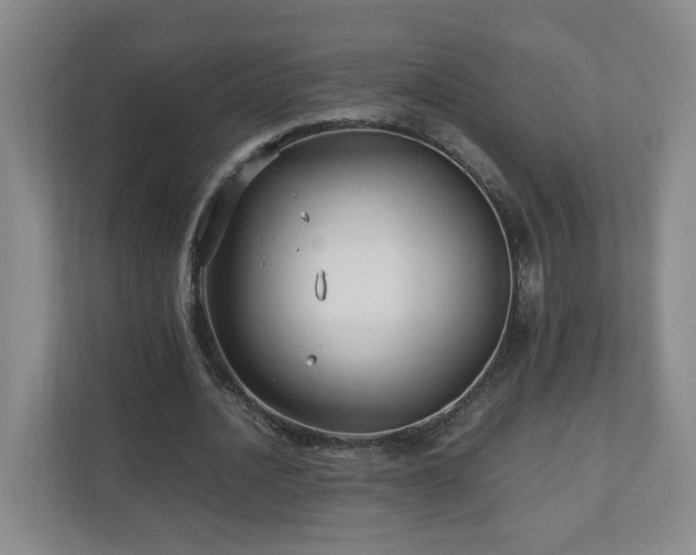 X0000110950628200906191251