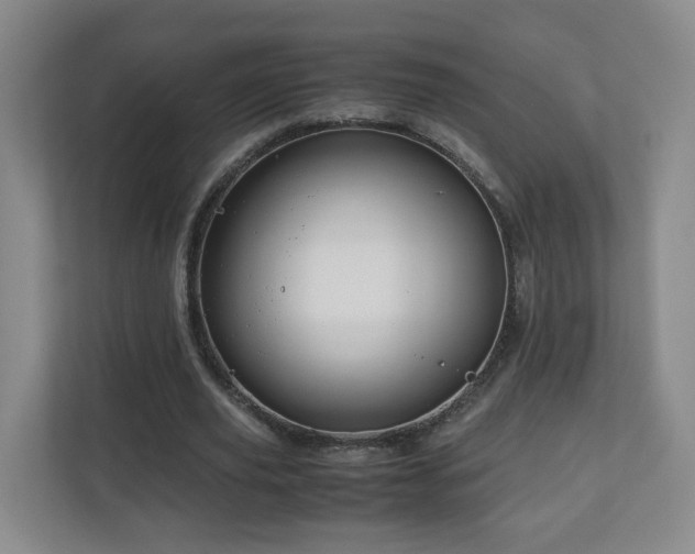 X0000110950629200906191251