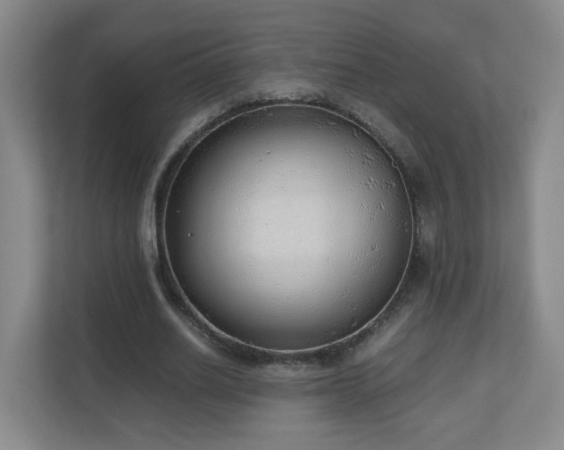 X0000110950630200906191251