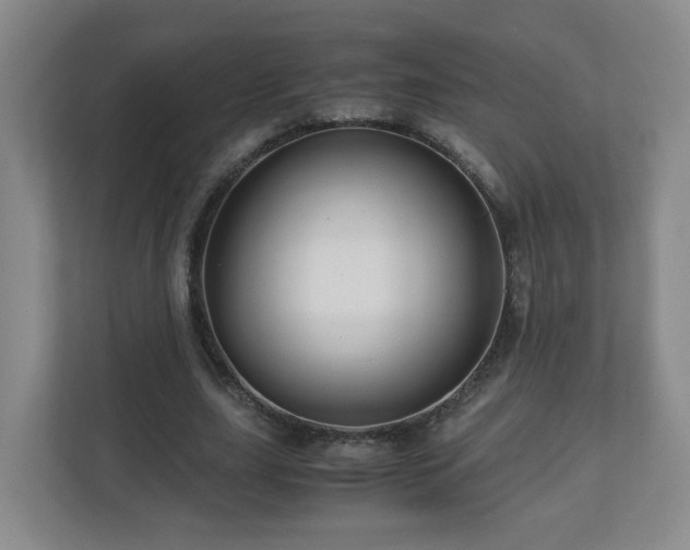 X0000110950631200906191251