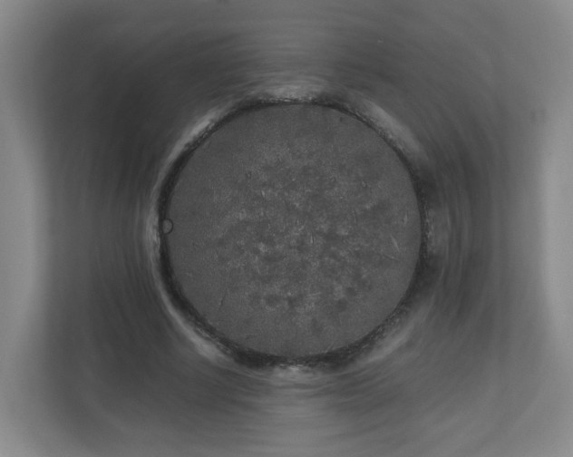 X0000110950634200906191251