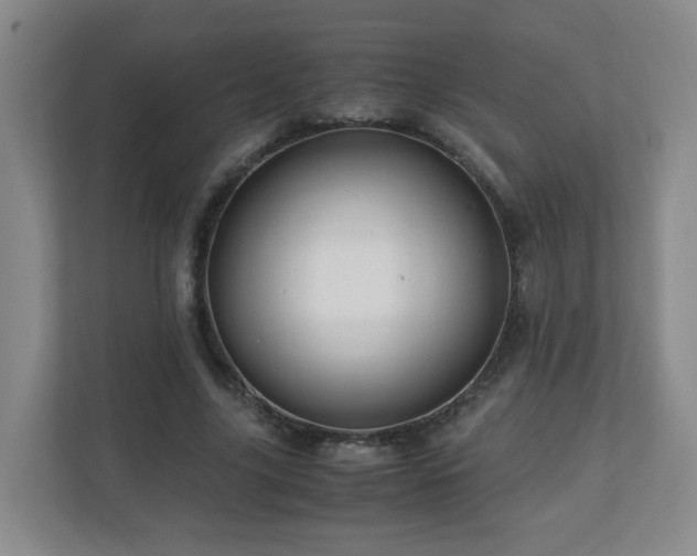 X0000110950635200906191251