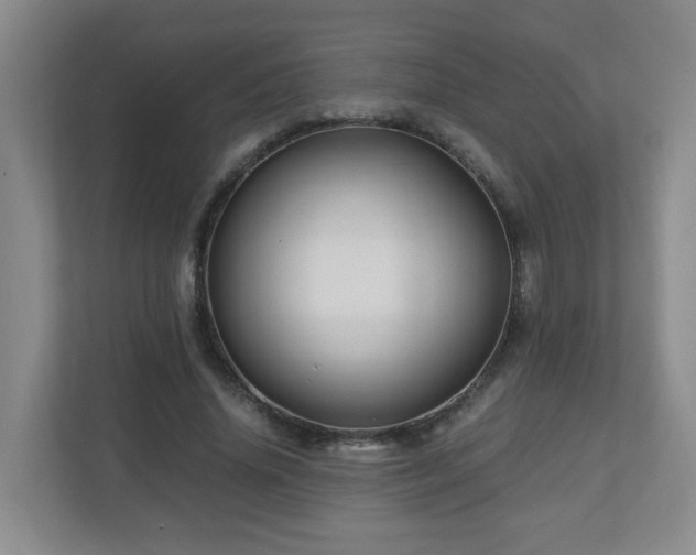 X0000110950636200906191251