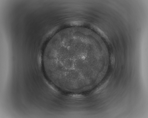 X0000110950637200906191251