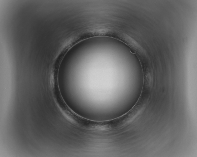 X0000110950638200906191251