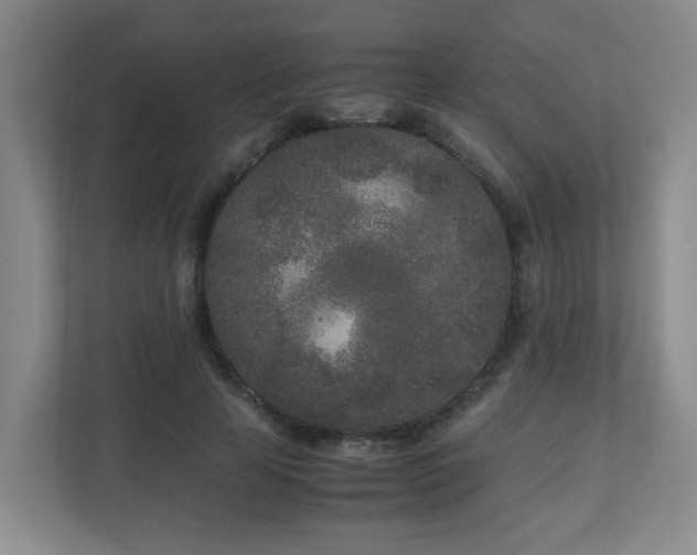 X0000110950641200906191251