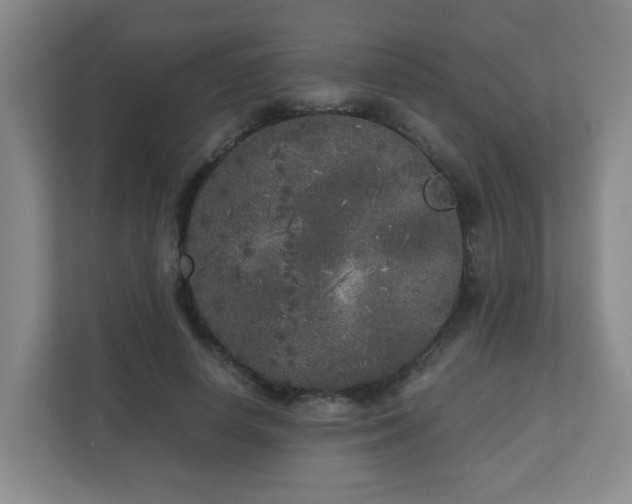 X0000110950642200906191251