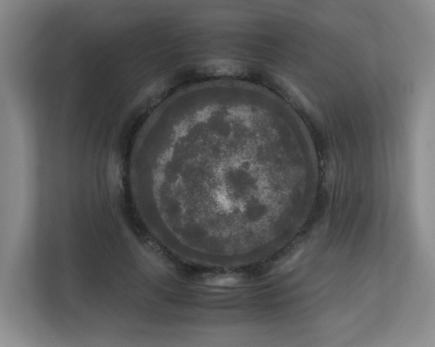 X0000110950643200906191251