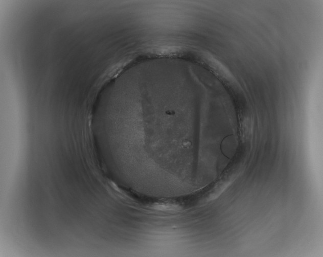 X0000110950644200906191251