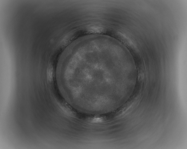 X0000110950647200906191251