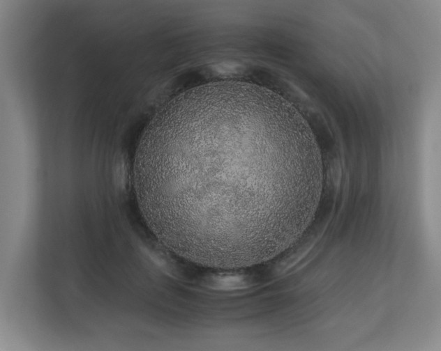X0000110950651200906191251