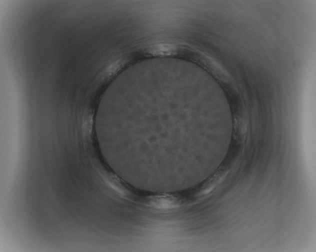 X0000110950652200906191251