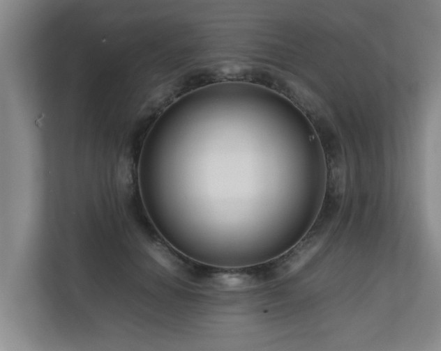 X0000110950654200906191251