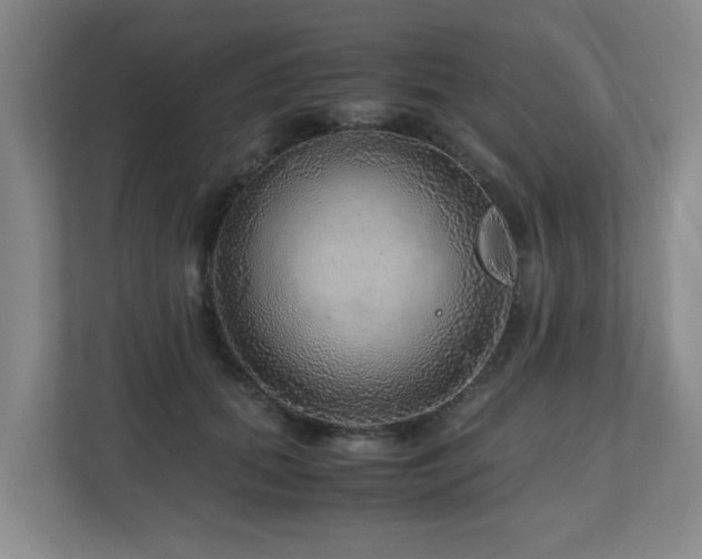X0000110950655200906191251