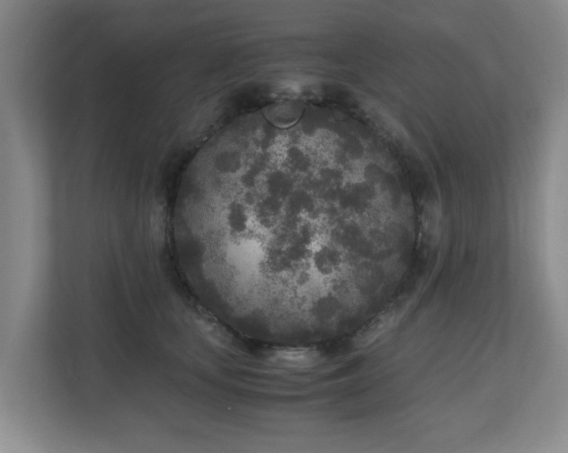 X0000110950659200906191251