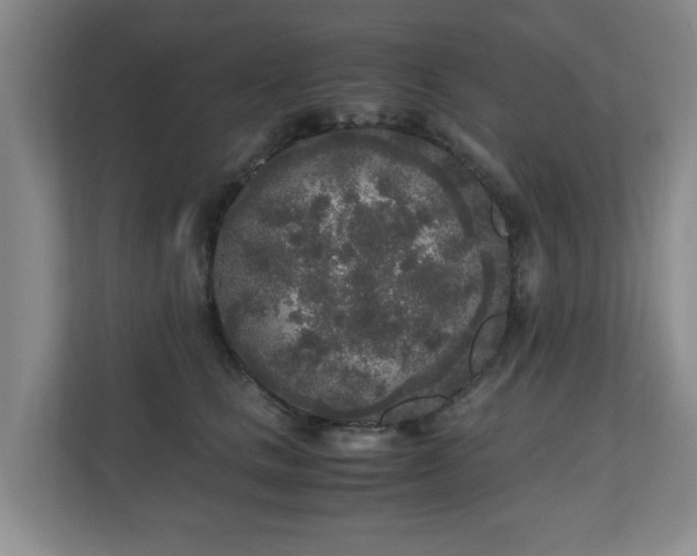 X0000110950661200906191252