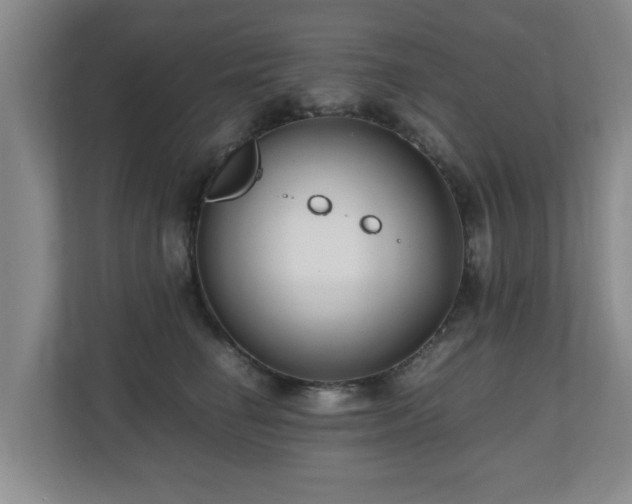 X0000110950662200906191252