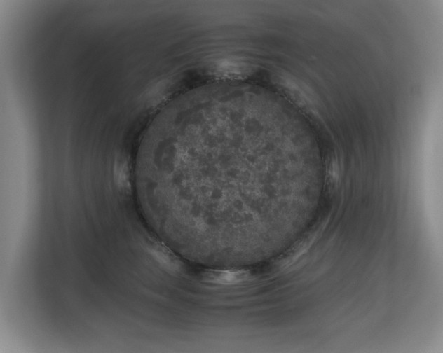 X0000110950663200906191252
