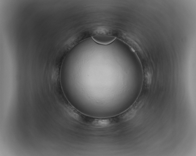 X0000110950665200906191252