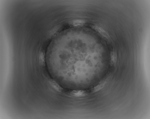 X0000110950667200906191252