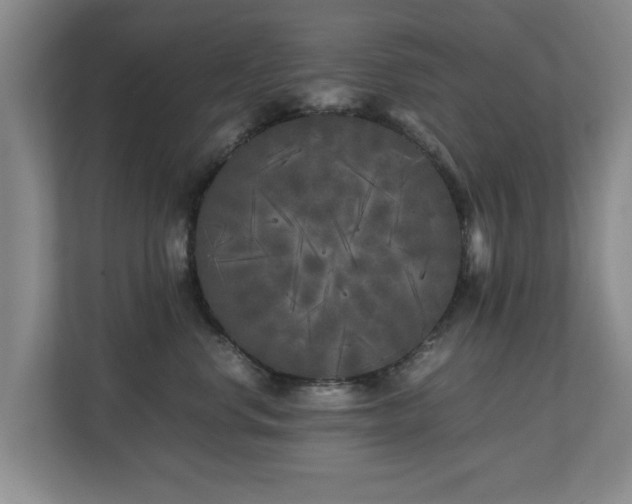 X0000110950668200906191252