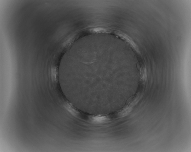 X0000110950669200906191252