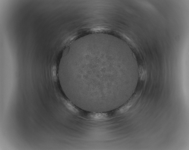 X0000110950670200906191252