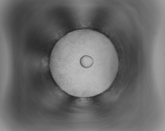 X0000110950672200906191252