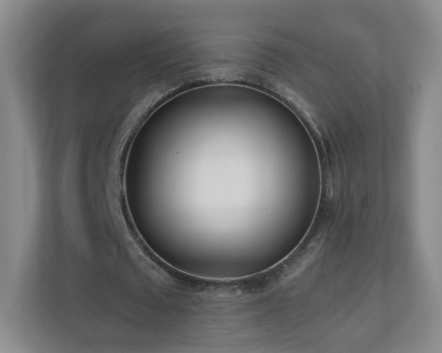 X0000110950673200906191251