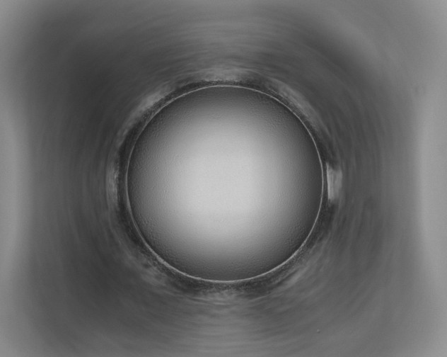 X0000110950675200906191251