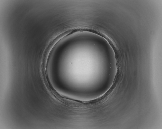 X0000110950677200906191251
