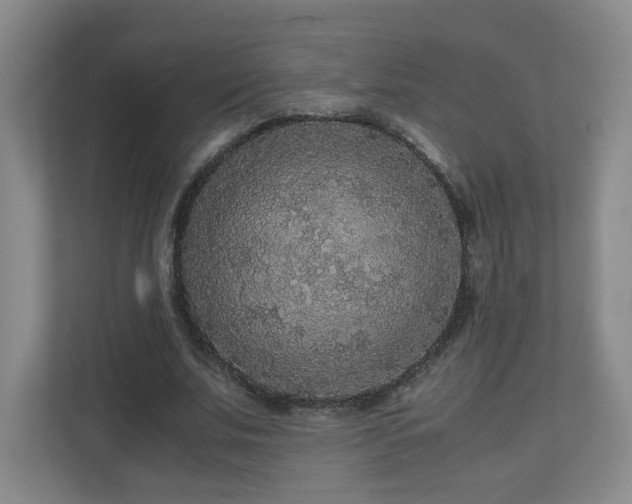 X0000110950679200906191251