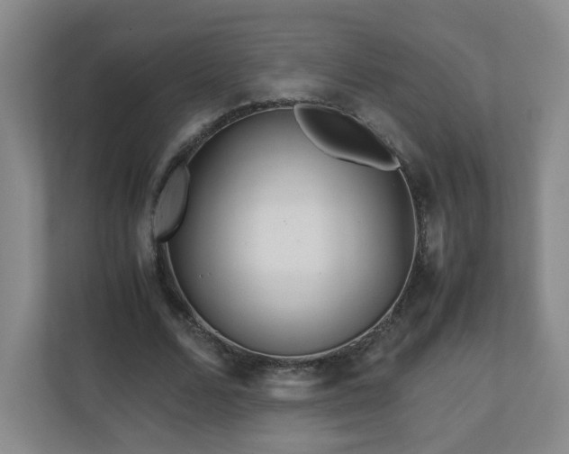 X0000110950680200906191251