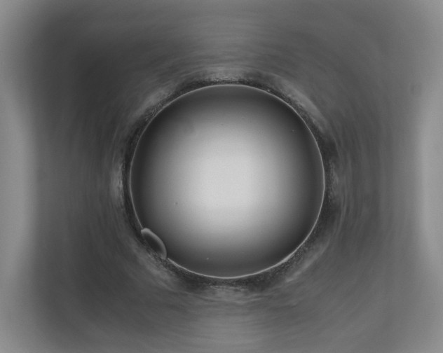 X0000110950681200906191251