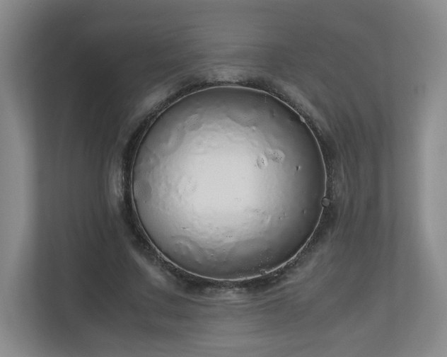 X0000110950683200906191251