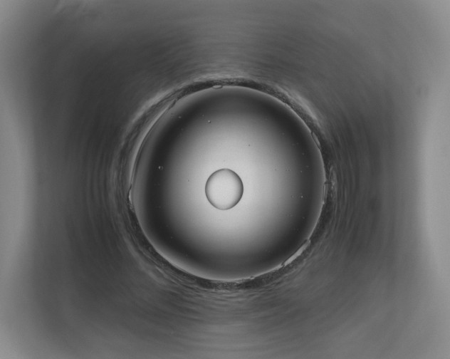 X0000110950684200906191251